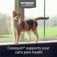 Cosequin - Capsules for Cats - Joint Health Supplement - Promotes Mobility,  Flexibility & Healthy Cartilage