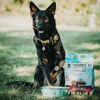 Frozen Dog Food