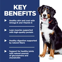 Science Diet - Large Breed Adult Dry Dog Food – Chicken & Barley Recipe – Supports Joint & Skin Health