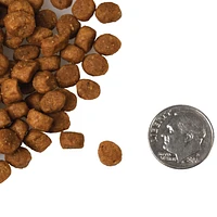 Fromm - Dry Cat Food - Duck À La Veg® Recipe