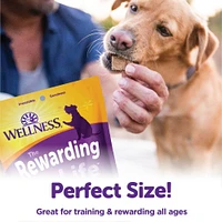 Wellness - The Rewarding Life Dog Treats - Natural, Soft & Grain Free Training Bites