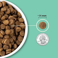 ACANA - Dry Dog Food - Protein Rich with Limited Ingredients - Lamb & Pumpkin  Recipe