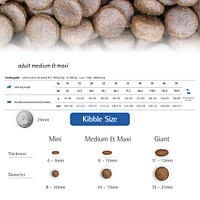 - Dry Dog Food - Boar & Apple Med/Maxi Adult