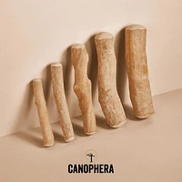 Canophera - Natural Coffee Wood Dog Chew – Long Lasting & Durable – Supports Healthy Chewing & Dental Health