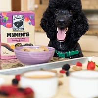 Wet Noses - Moments Limited Ingredient Crunchy Dog Treats - Made with Human Grade Ingredients - Peanut Butter Berry Cupcake & Donut Recipe