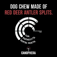 Natural Red Deer Antler Split Dog Chew – Long-Lasting & Durable – Supports Dental & Joint Health