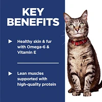 Adult Dry Cat Food – Chicken Recipe – Supports Heart