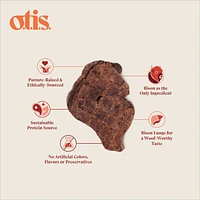 Otis - Air Dried Dog Treat - Bison Lung Fillet