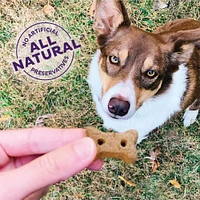 Old Mother Hubbard - Crunchy Dog Treats - Natural High Protein Biscuits - P-Nuttier 'N Nanners Recipe - Mini