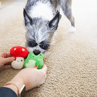 Coastal - Dog Toy - Li'l Pals Combo