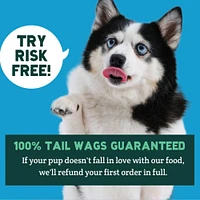 A Pup Above - Gently Cooked Dog Food - High Protein,  Human Grade & Grain Free - Texas Beef Stew Recipe