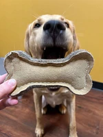 Spot - Dog Chew Toy