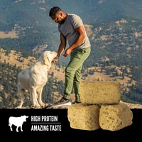 Orijen - Freeze Dried Dog Treat - High Protein Training Reward - Regional Red Recipe