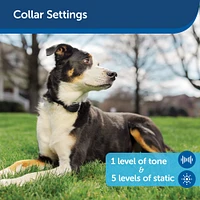 PetSafe - Stay & Play® Wireless Dog Fence - No Wire Setup,  Adjustable Boundary Up to 3/4 Acre,  Waterproof & Rechargeable Collar