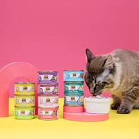 - Wet Cat Food - Meow You Doin? Chicken Variety Pack