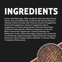 Dry Dog Food – Limited Ingredient Wholesome Grains