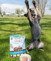 Tucker's - Frozen Dog Food - Turkey & Pumpkin