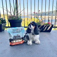 Tucker's - Freeze Dried Dog Food - Pork,  Lamb,  & Pumpkin