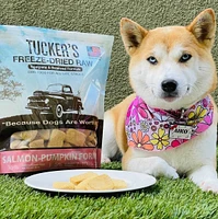 Tucker's - Freeze Dried Dog Food - Salmon & Pumpkin