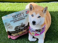 Tucker's - Freeze Dried Dog Food - Salmon & Pumpkin