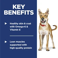 Science Diet - Adult Dry Dog Food – Lamb & Rice Recipe – Supports Digestive Health