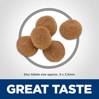 Science Diet - Adult Dry Cat Food For Sensitive Stomach & Skin – Chicken & Rice Recipe – Supports Digestion