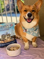 Tucker's - Freeze Dried Dog Food - Pork,  Bison,  & Pumpkin