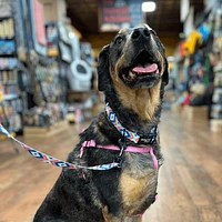 Ohio Made - Dog Leash - Southwest Pink