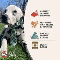 Fromm - Dog Treats - Salmon with Sweet Potato Recipe
