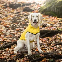 Reversible Dog Raincoat - Waterproof, Reflective & Adjustable Fit