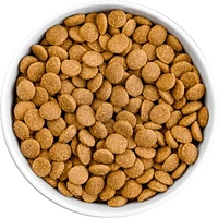 - Dry Dog Food - Limited Ingredient Bland Diet Beef and Brown Rice Recipe with Pumpkin