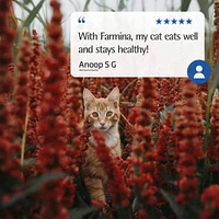 - Dry Cat Food - Skin & Coat Herring