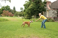 PetSafe - Stay & Play® Wireless Dog Fence - No Wire Setup,  Adjustable Boundary Up to 3/4 Acre,  Waterproof & Rechargeable Collar