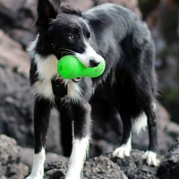 Ruff Dawg - Durable Retrieving Dog Toy - Tough & Textured for Chewing & Fetch - Peanut