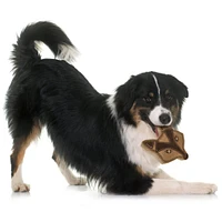 Spot - Dog Chew Toy
