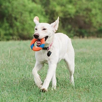 Chuckit! - Dog Toy - Zipflight
