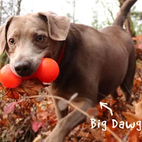 Ruff Dawg - Durable Retrieving Dog Toy - Tough For Chewing & Fetch - Big Dawg