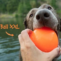 Indestructible Dog Toy