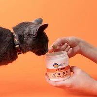 Under the Weather - Cat Supplement - L-lysine Powder