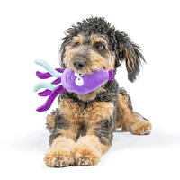 Huxley & Kent - Dog Toy - Squiggly Squid