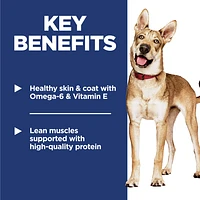 Science Diet - Adult Dry Dog Food – Chicken & Barley Recipe – Supports Digestive Health