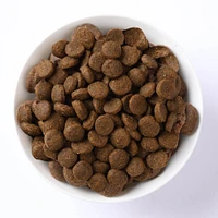 - Dry Cat Food - Skin & Coat Herring