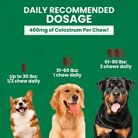 Nootie - Large Dog Chew - Allergy Relief