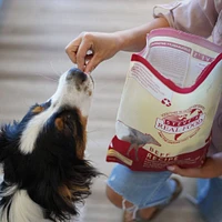 Steve's Real Food - Freeze Dried Dog Food - High Protein & Grain Free
