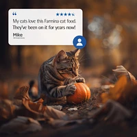 - Dry Cat Food - Lamb,  Pumpkin,  & Blueberry Neutered Cat