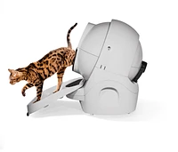 Whisker - Litter-Robot 3 Ramp