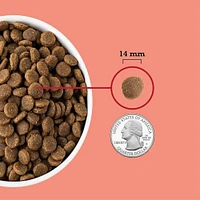 ACANA - High Protein Dry Dog Food - Supports Immune System,  Healthy Skin & Coat - Red Meat Recipe - 25 lbs Bag