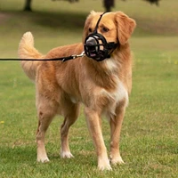 Baskerville - Ultra Basket Dog Muzzle – Humane,  Breathable & Secure Fit – Black