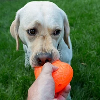 - Durable Retrieving Dog Toy - Tough & Textured for Chewing & Fetch - Peanut Crunch
