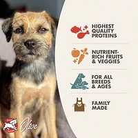 Fromm - Dry Dog Food - Surf & Turf Recipe